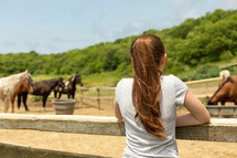 girl watching horses 
