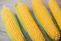 corn cobs 