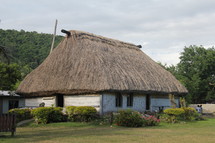 thatched roof house 