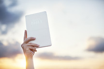 hand holding up a white Bible in the sky 