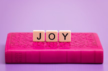 word Joy on a pink Bible 