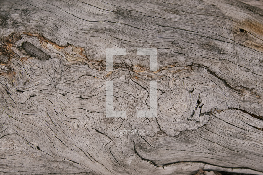wood grain texture 