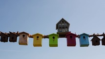 Timelapse of multi coloured birdhouses on a branch themes of contrasts shelter home protection
