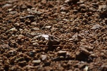 shiny rock in gravel 