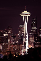 Seattle space needle at night 