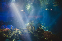 lights and water in a large aquarium