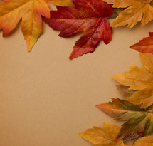 fall leaves border on tan 