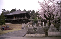 Asian house on hillside with stone pillars and pink blossom tree on side.