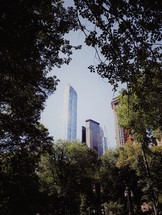 view of city skyscrapers through trees in a park 