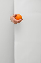 Male nutritionist hand holding and offering orange fruit behind white wall background