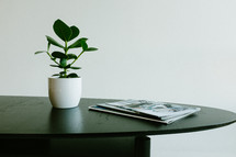 house plant and magazines on a table 