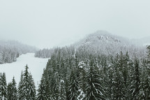 snow on a mountain forest 