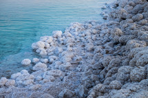 coral and salt along a shore 