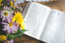 spring flowers and an open Bible 