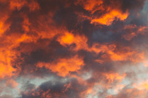 vibrant clouds in the sky at sunset 