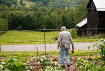 a man tending his garden 