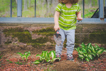 a child planting 