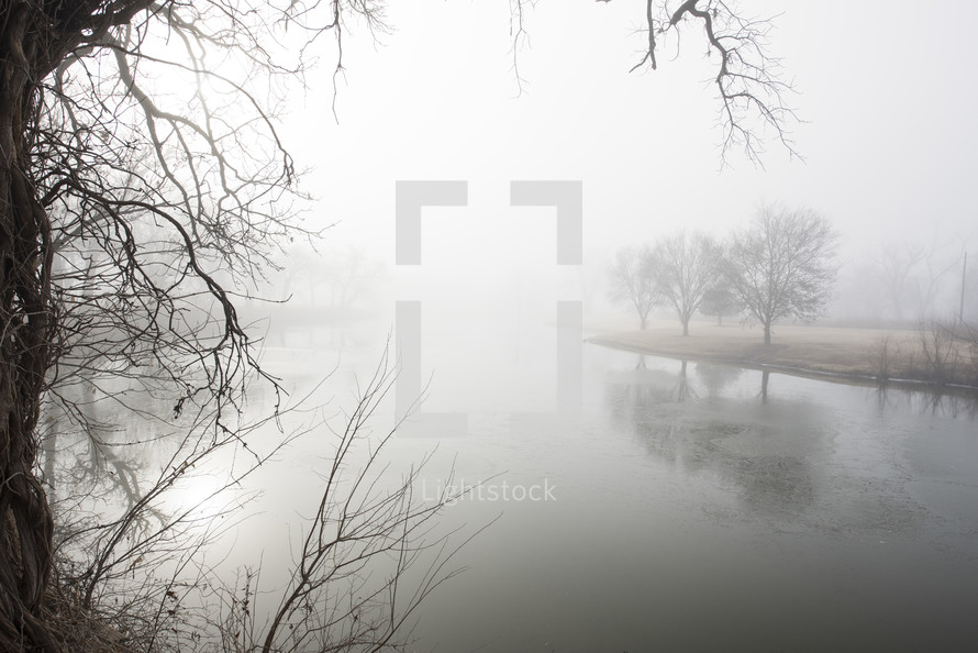 fog over a pond