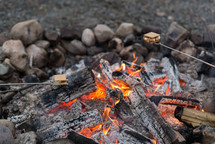 s'mores over a campfire 