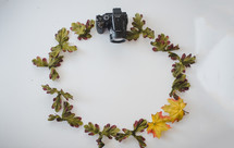 camera and leaves 