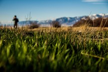 green grass and snow capped mountain peaks 
