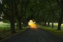 the glow of sunlight on a rural gravel road