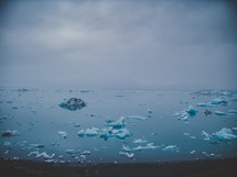 ice chunks floating in a sea 