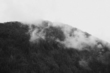 fog and clouds over an evergreen mountain forest 