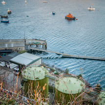 boats in a harbor and green storage tanks 