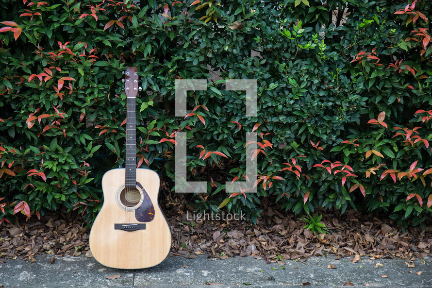 acoustic guitar outdoors leaning against bushes 