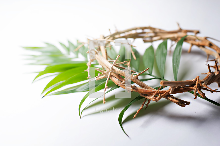 Crown of thorns and Palm fronds 