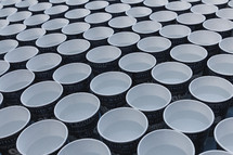 rows of cups of water 
