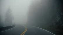 thick fog over a road 