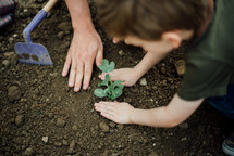 A boy child planting a garden 