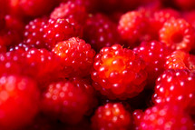 red raspberries 