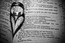 wedding band forming a heart shadow over the pages of a Bible