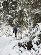 Hiker in a snowy mountain wilderness. 