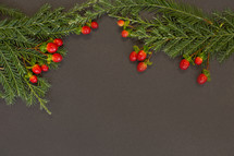 greenery and red berries on a black background 