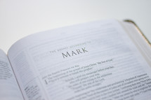 book of Mark in a Bible 