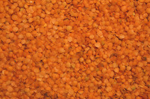 orange lentils 