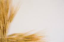 wheat frame