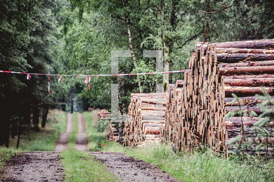 logging industry 