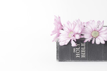 Flowers on top of a Bible.