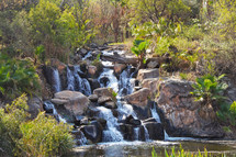 rocky stream in jungle or forest - waterfall