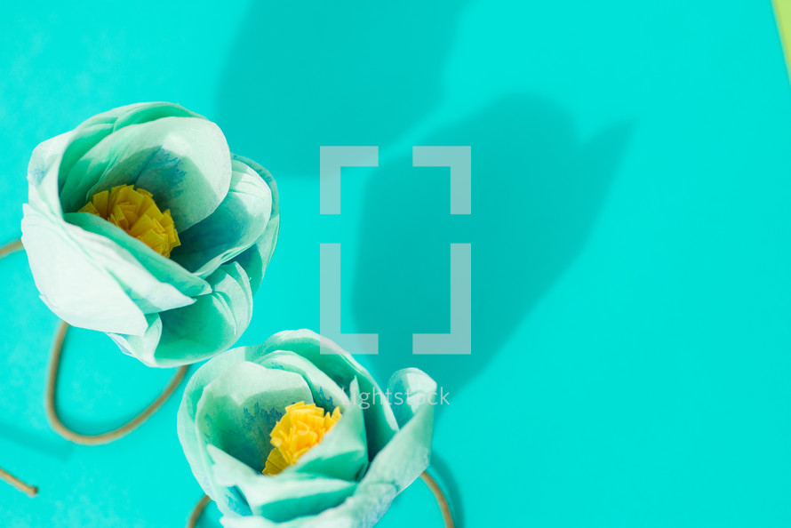 Two turquoise flowers on a turquoise background.