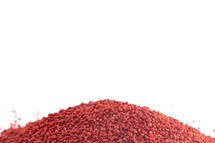 Cranberry Seeds 