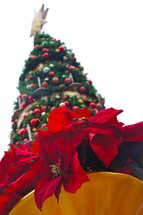 Ground view looking up at decroated Christmas tree with red poinsettia base.