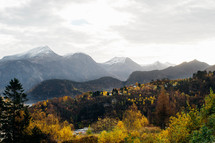 fall trees in a valley surrounded by mountains 