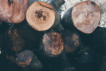 pile of logs 