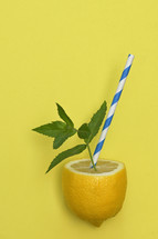 Lemonade from Lemon Fruit, Paper Straw and Mint Leaves